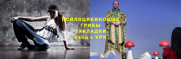 стаф Алексеевка